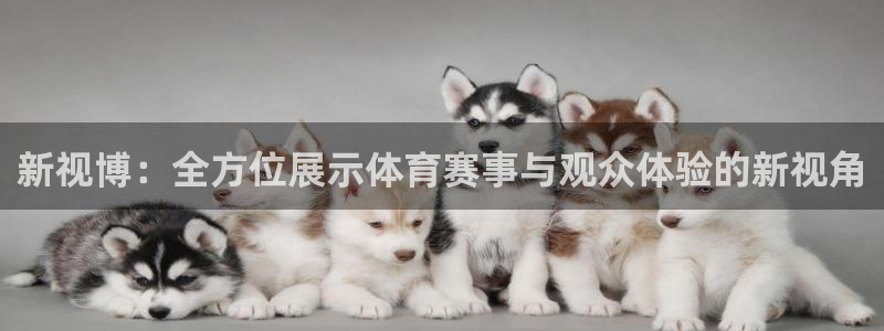 玩球体育直播吧：新视博：全方位展示体育赛事与观众体验的新视角